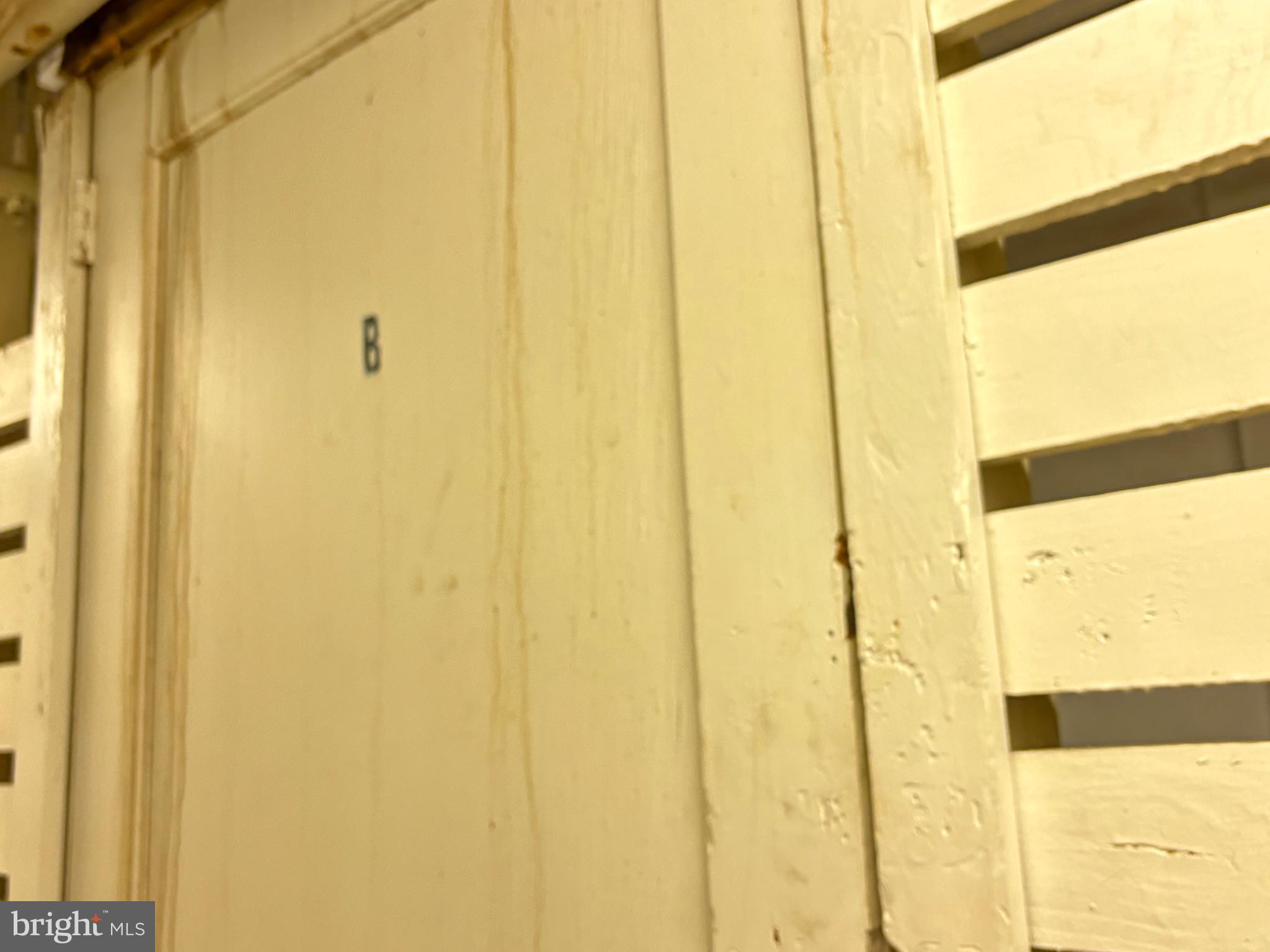676 Perth Place, Unit B Philadelphia, PA 19123 - Photo 27 of 43 assigned storage room/provide your own lock