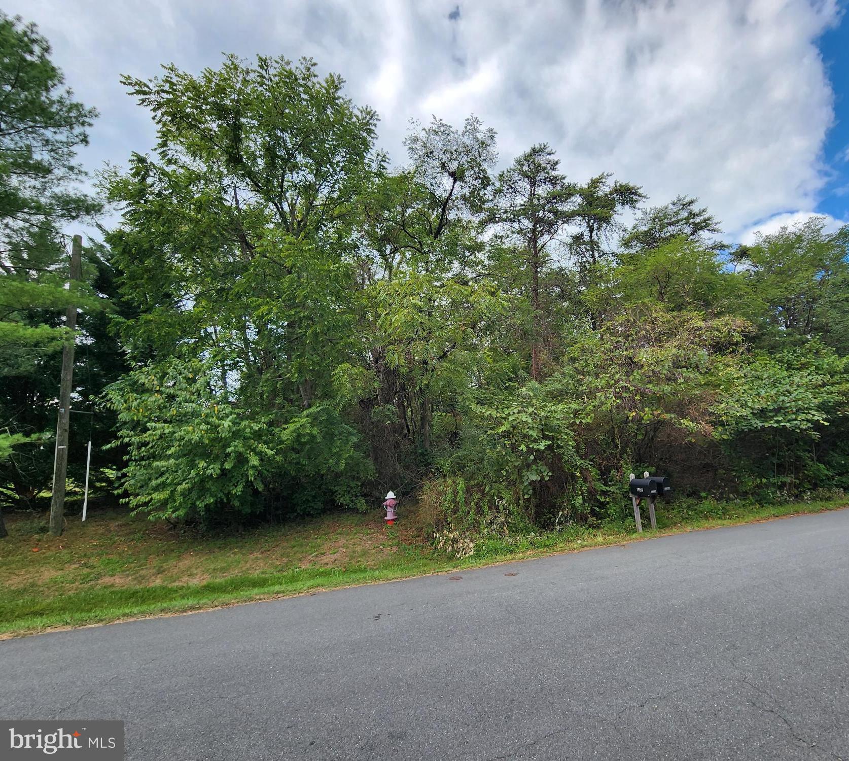 Lot 105 Smith Circle Ashburn, VA 20147 - Photo 13 of 17