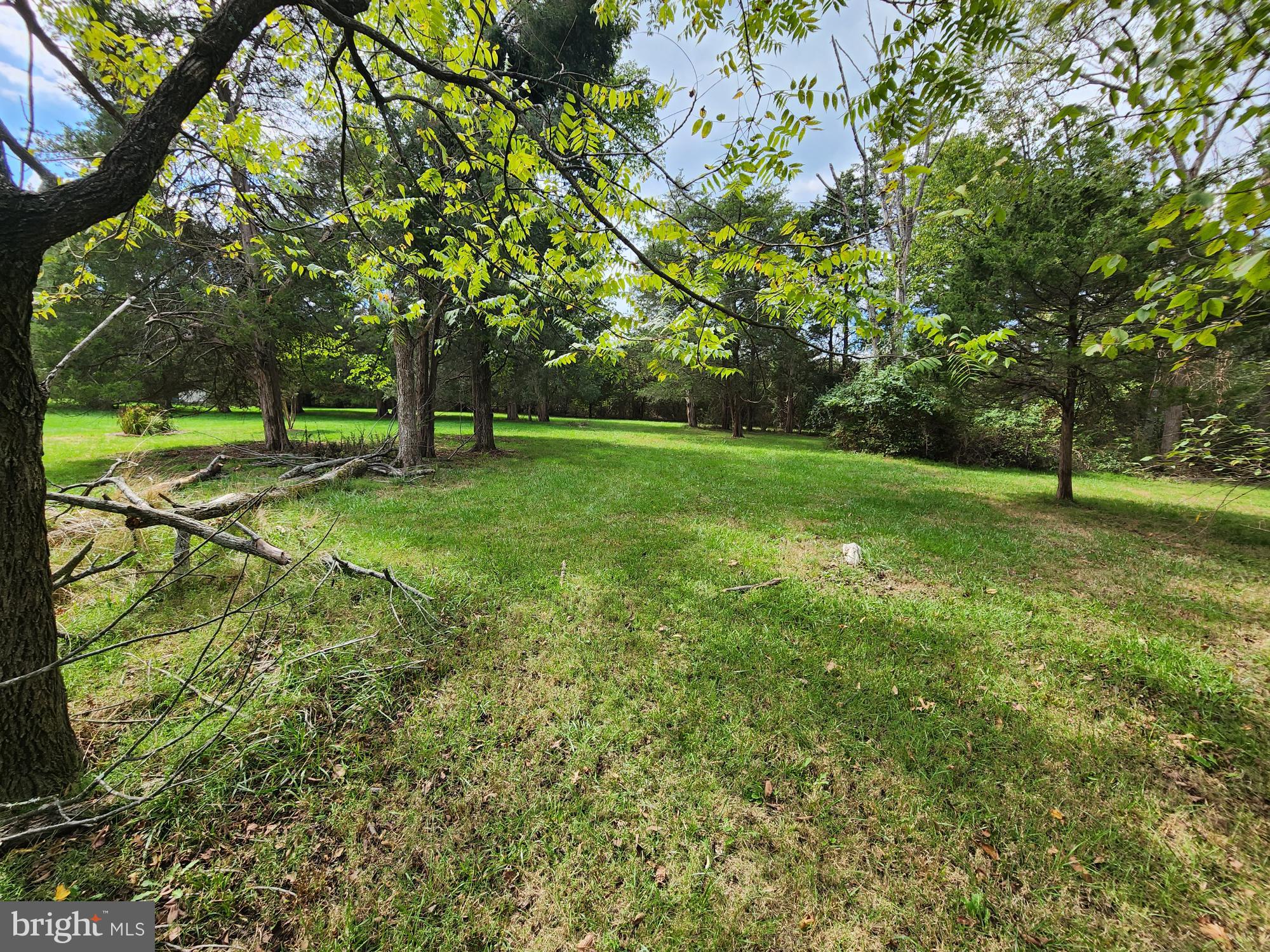 Lot 105 Smith Circle Ashburn, VA 20147 - Photo 8 of 17