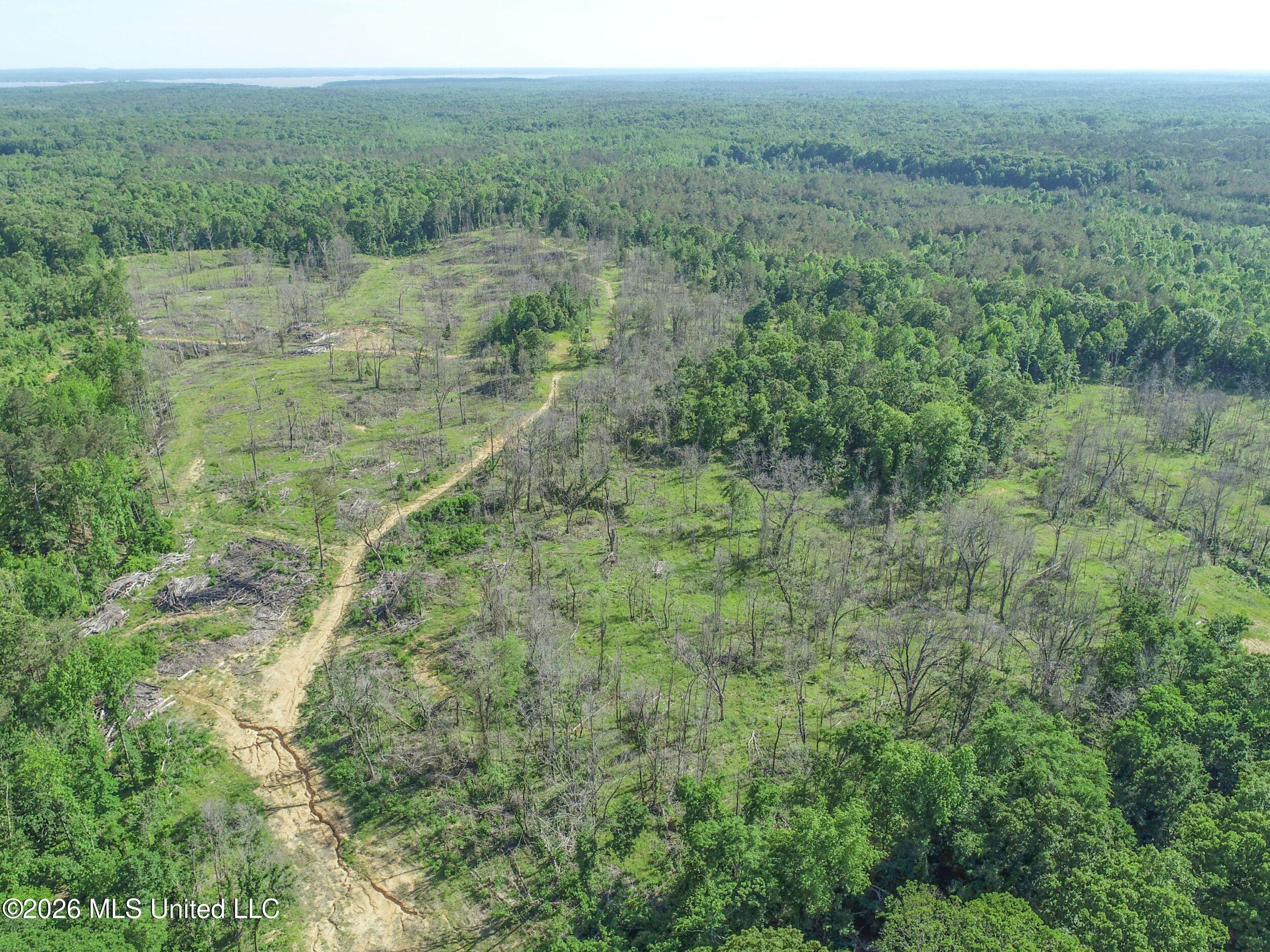 Wayne Massie Road Como, MS 38619 - Photo 26 of 184 3ctwmrd10