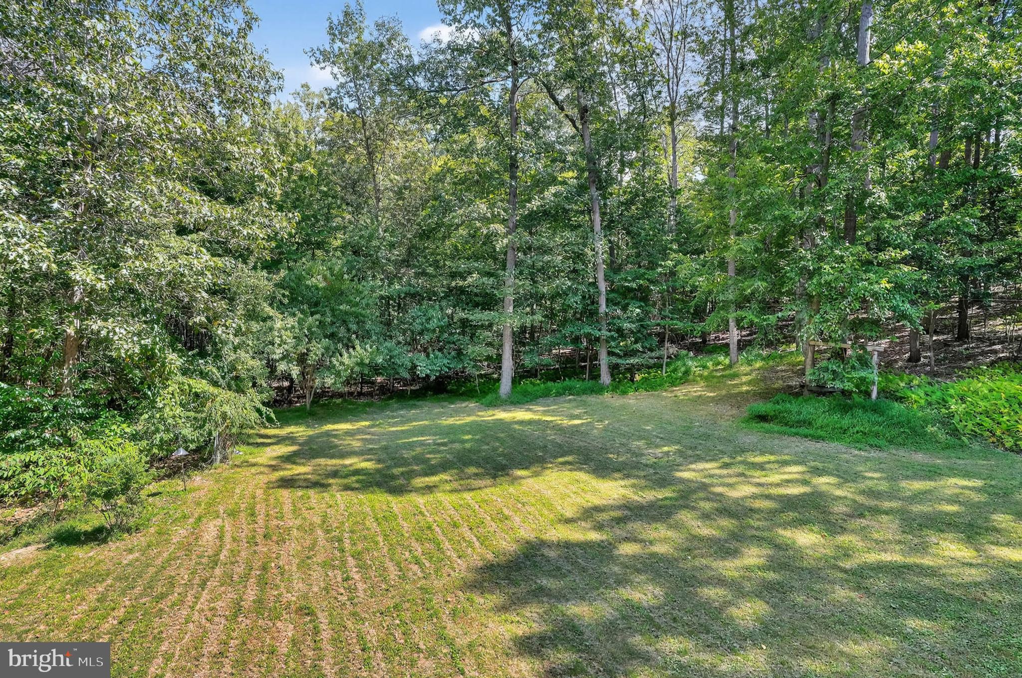 567 Leppo Road Westminster, MD 21158 - Photo 5 of 38 Your forest hideaway