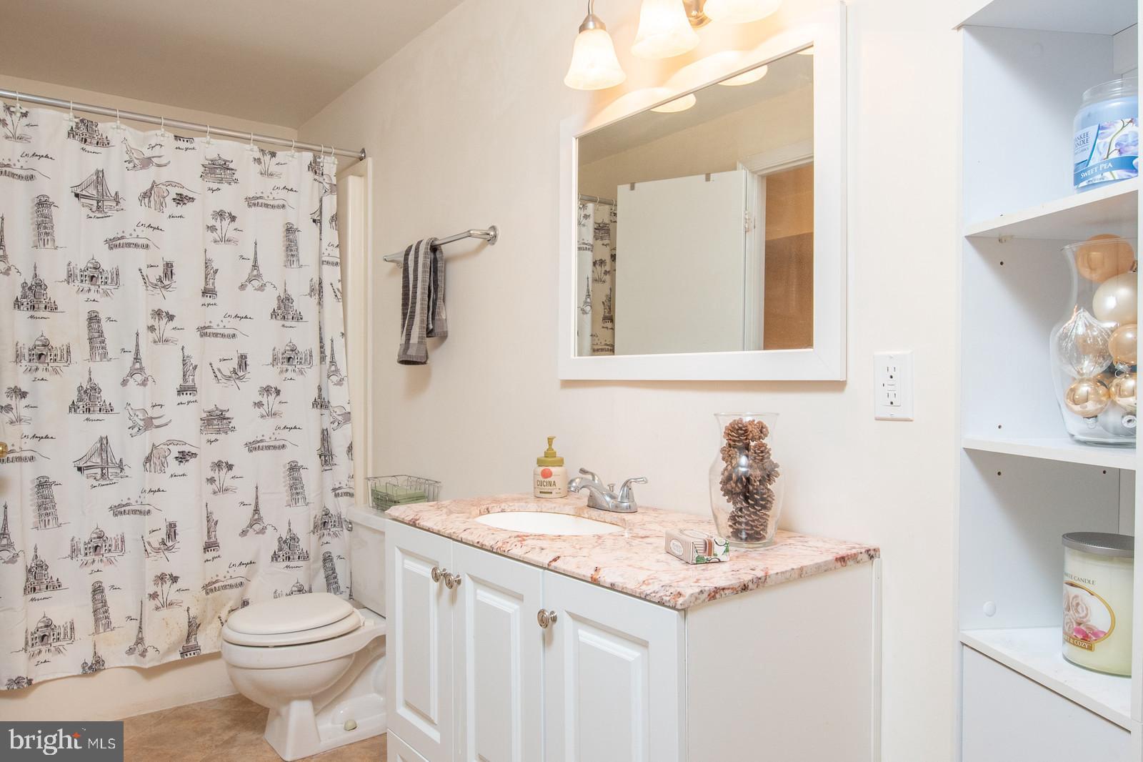 10155 Wavell Road Fairfax, VA 22032 - Photo 29 of 32 Full lower level bath with custom built-ins