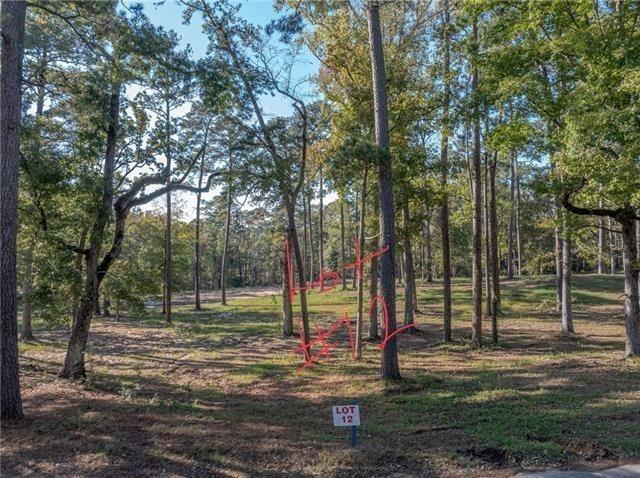 0 Amelia Drive Boyce, LA 71409 - Photo 2 of 4