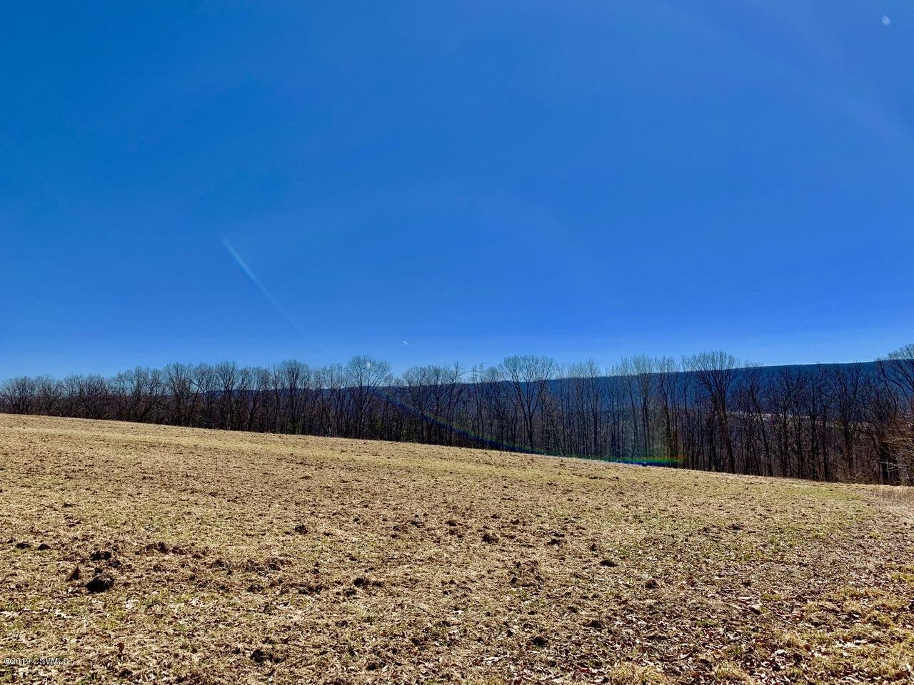 Church Road Stillwater, PA 17878 - Photo 12 of 15