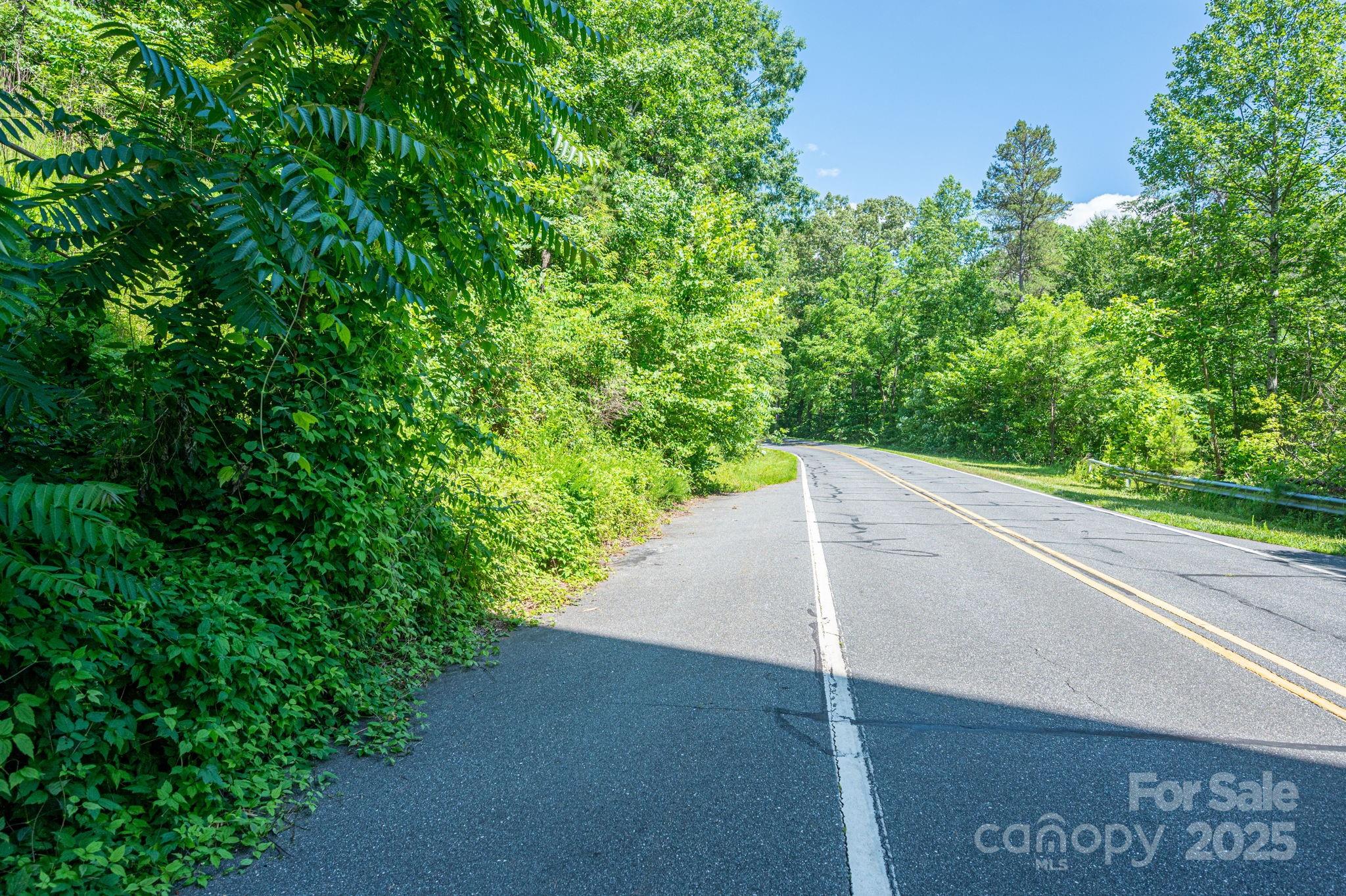 Lot 3 Cleghorn Mill Road Rutherfordton, NC 28139 - Photo 8 of 25 a view of a street view