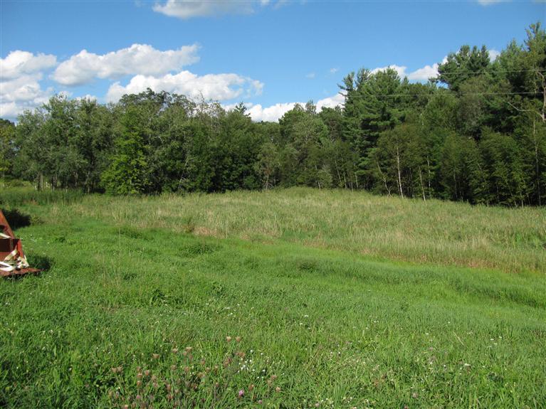 238 West County Line Road Sand Lake, MI 49343 - Photo 20 of 24 Additional Photo