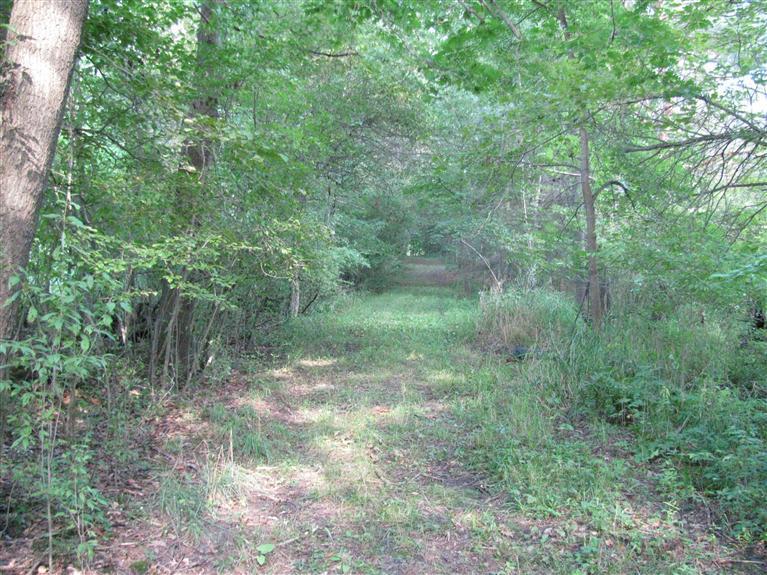 238 West County Line Road Sand Lake, MI 49343 - Photo 24 of 24 Additional Photo