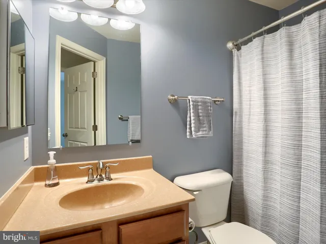 a bathroom with a sink a toilet a mirror and shower curtain