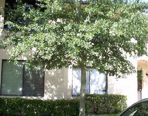 21943 Remsen Terrace, Unit C206 Boca Raton, FL 33433 - Photo 4 of 5 Additional Photo