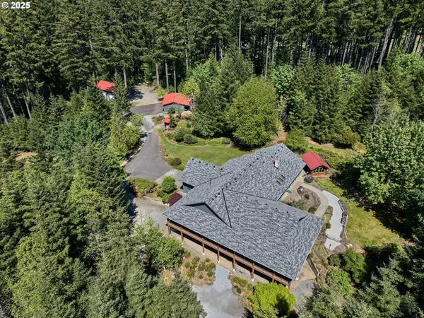 a view of a yard with large trees