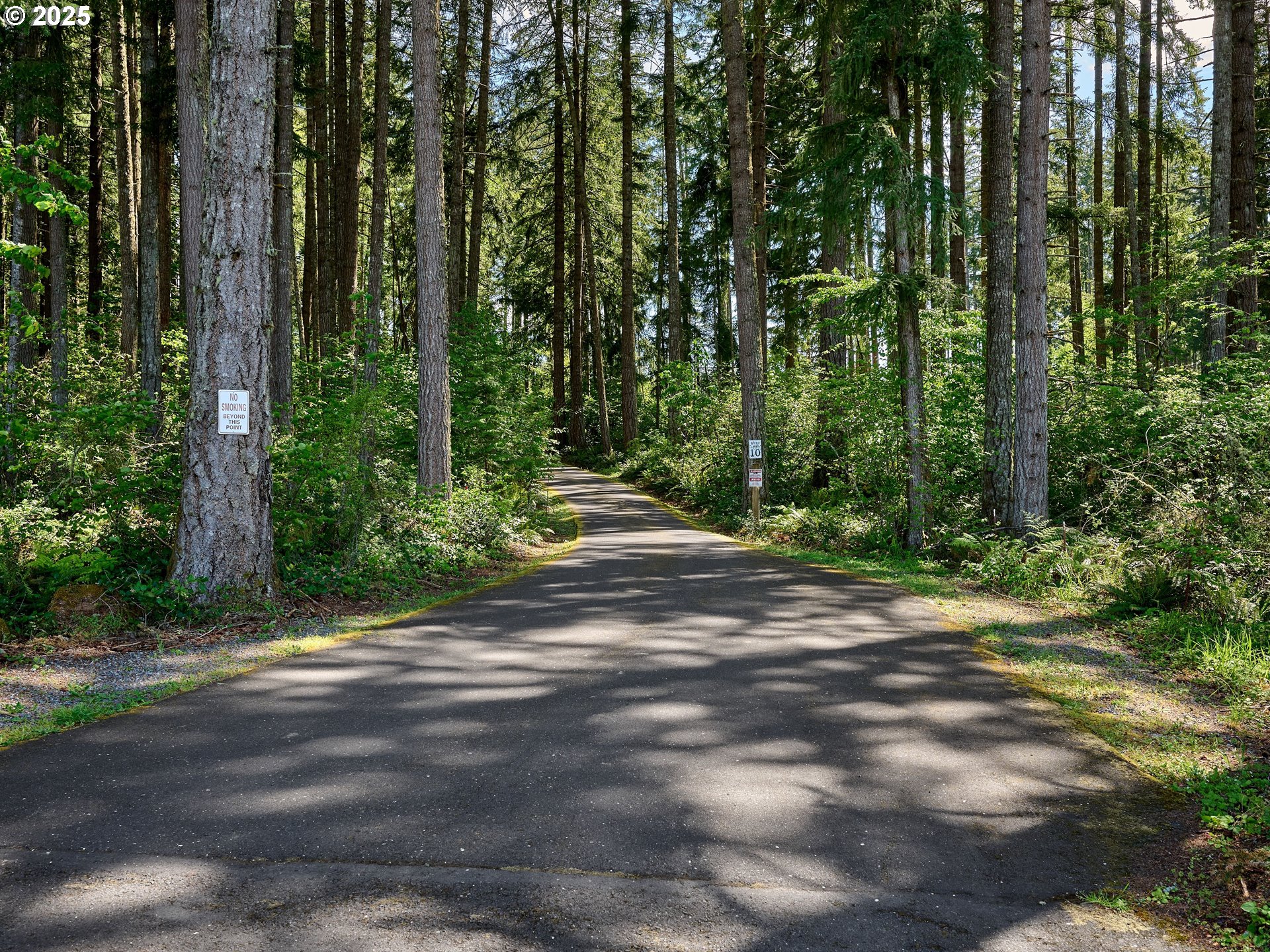 23456 South Schieffer Road Colton, OR 97017 - Photo 6 of 48 a view of a yard with large trees