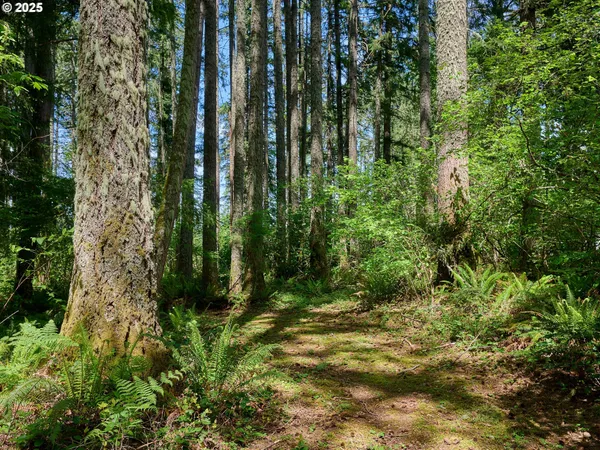 a kitchen with granite countertop a sink appliances and cabinets