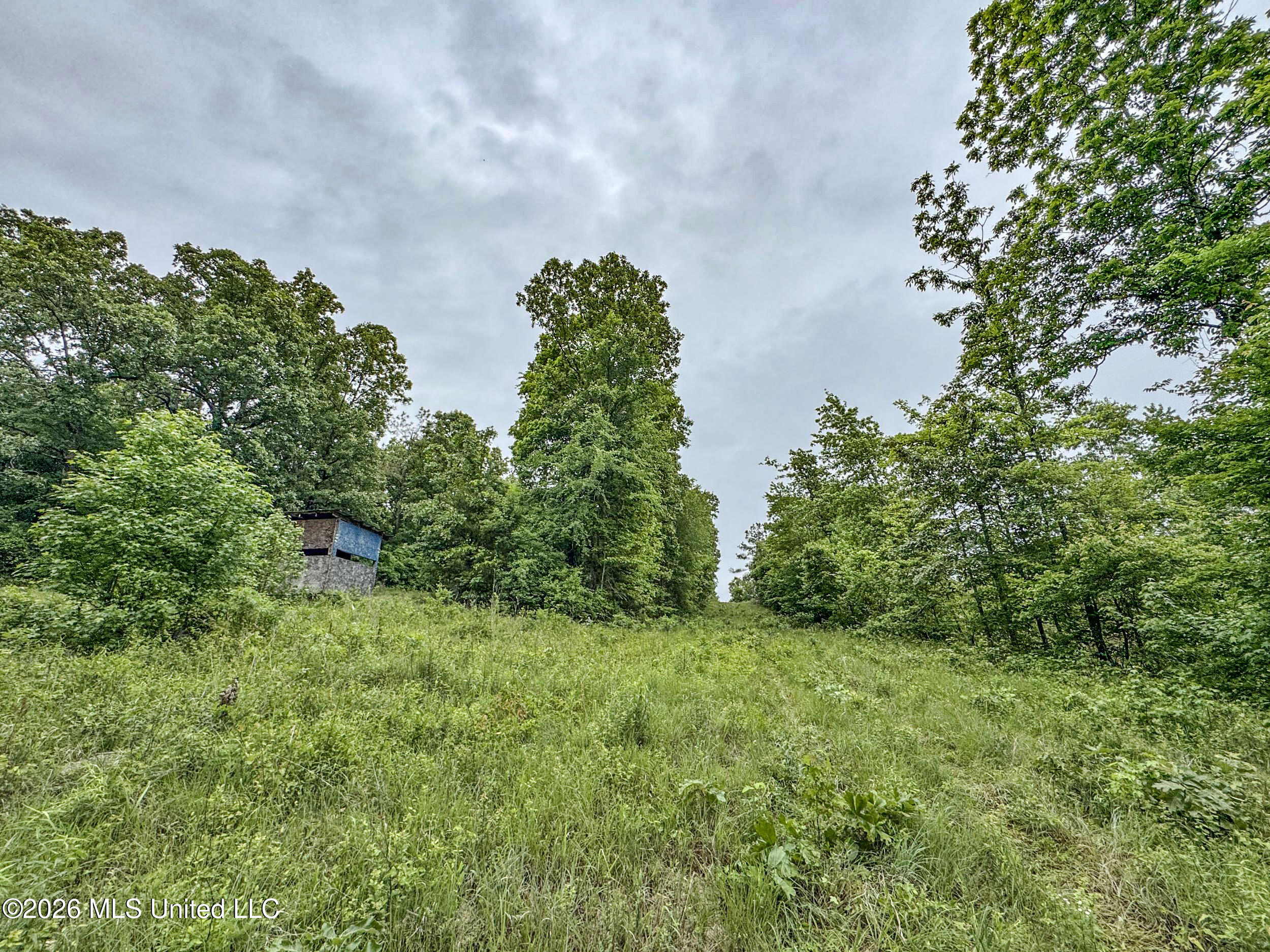 Wayne Massie Road Como, MS 38619 - Photo 109 of 184 5cdtbs42
