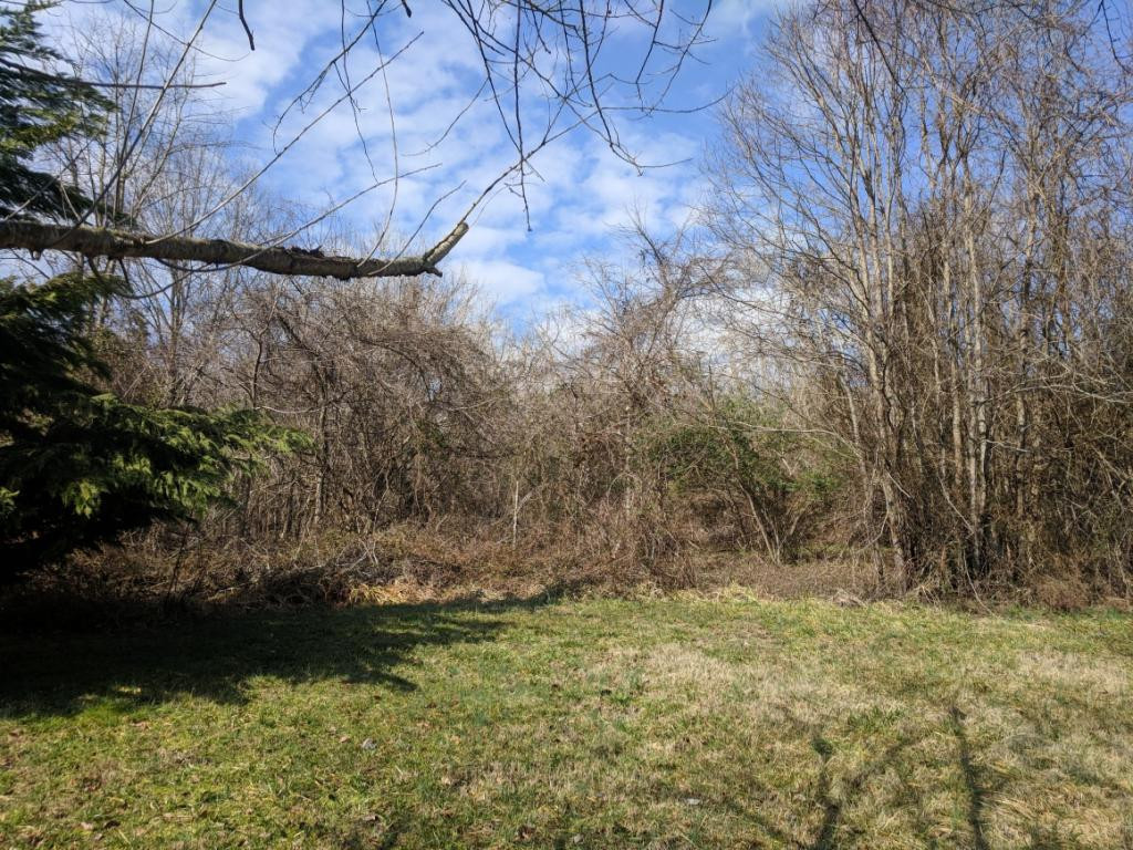 172 Harwood Road, Unit 5 Gray, TN 37615 - Photo 5 of 23 wooded lot