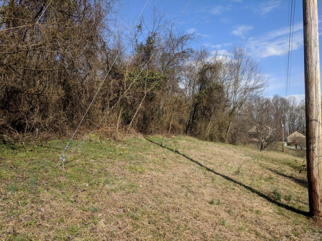 172 Harwood Road, Unit 5 Gray, TN 37615 - Photo 6 of 23 gentle sloping lot