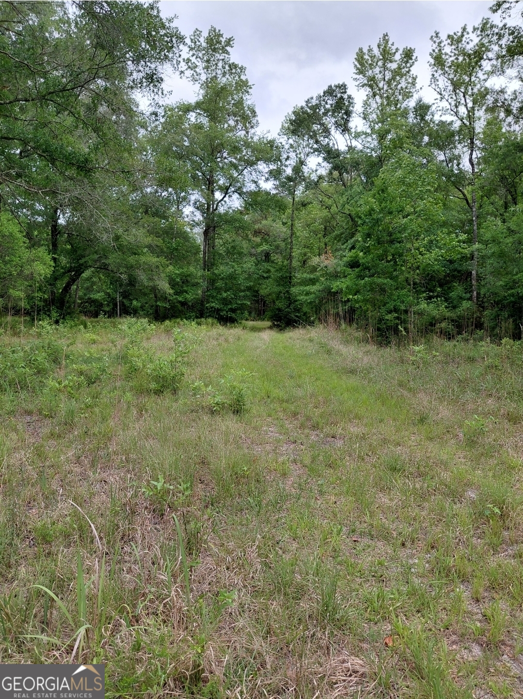 436 Russell Boulevard St. George, GA 31562 - Photo 28 of 33