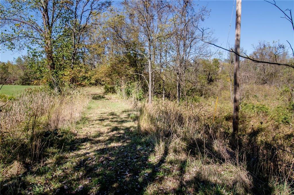 7985 Clark Orchard Road Freedom, IN 47431 - Photo 26 of 53