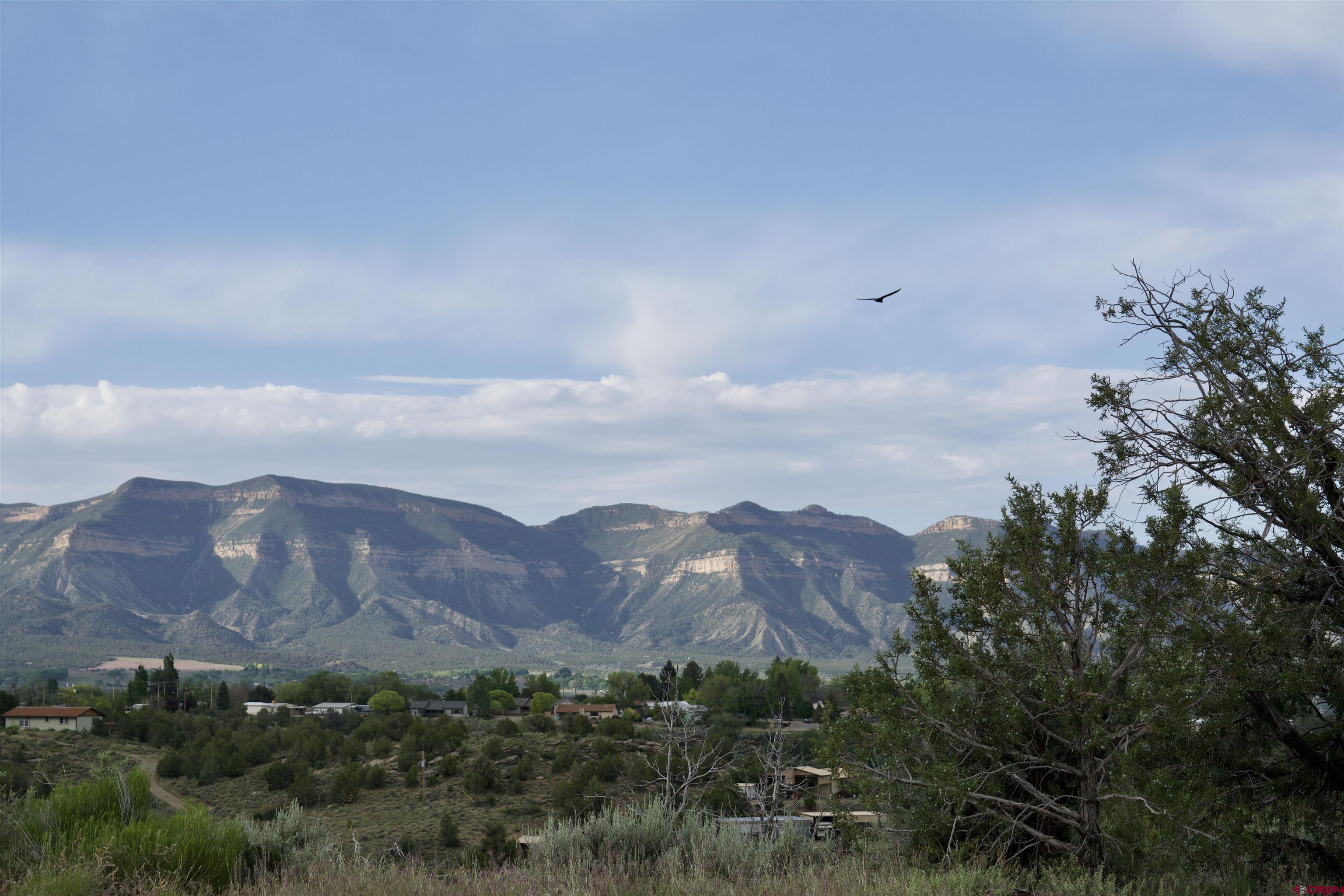 Lot 2 Road 24.3 Cortez, CO 81321 - Photo 13 of 16 a view of a city