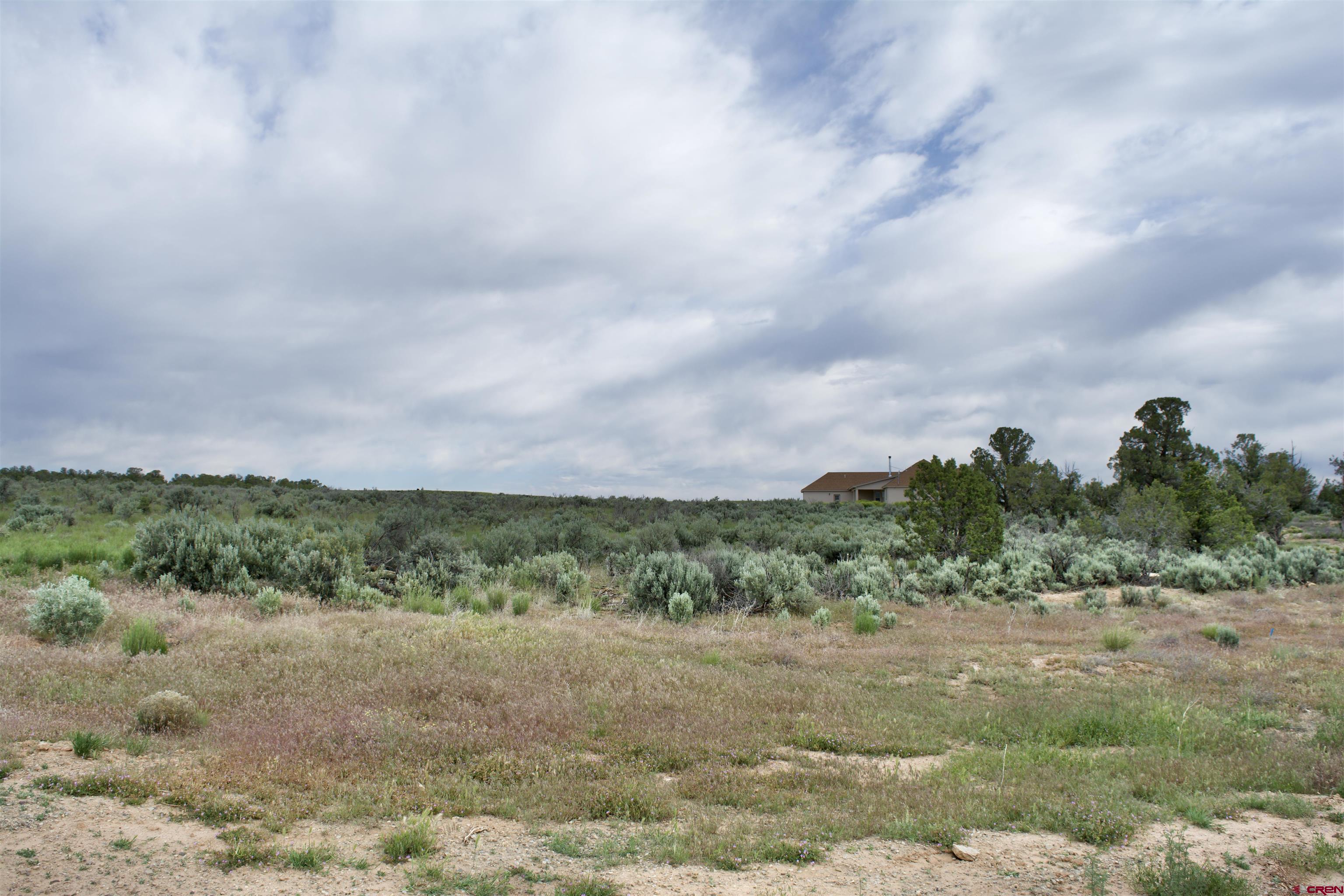 Lot 2 Road 24.3 Cortez, CO 81321 - Photo 14 of 16 a view of a field with trees in background