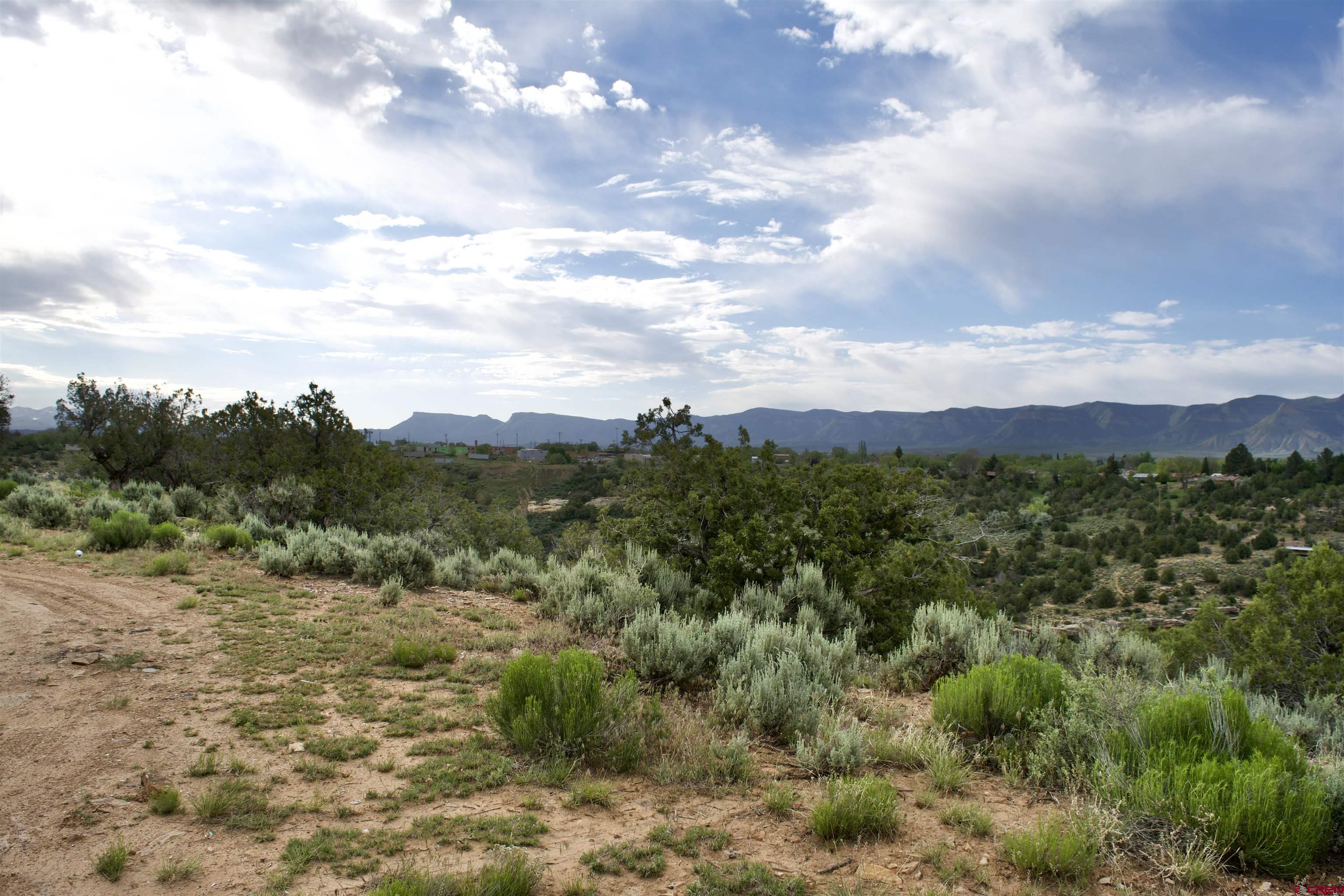 Lot 2 Road 24.3 Cortez, CO 81321 - Photo 2 of 16 a view of a city with lush green forest