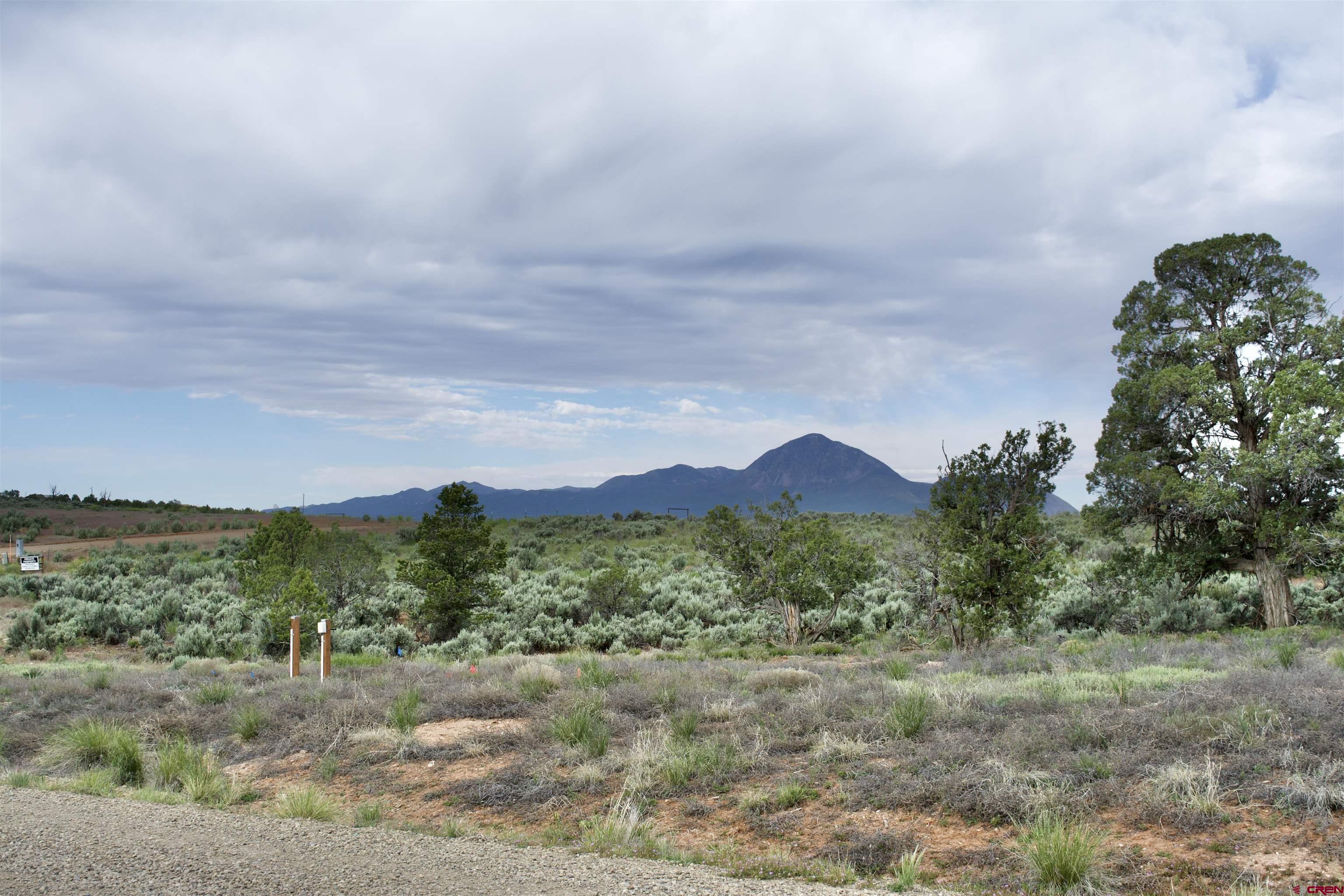 Lot 2 Road 24.3 Cortez, CO 81321 - Photo 5 of 16 a view of a town with mountains in the background
