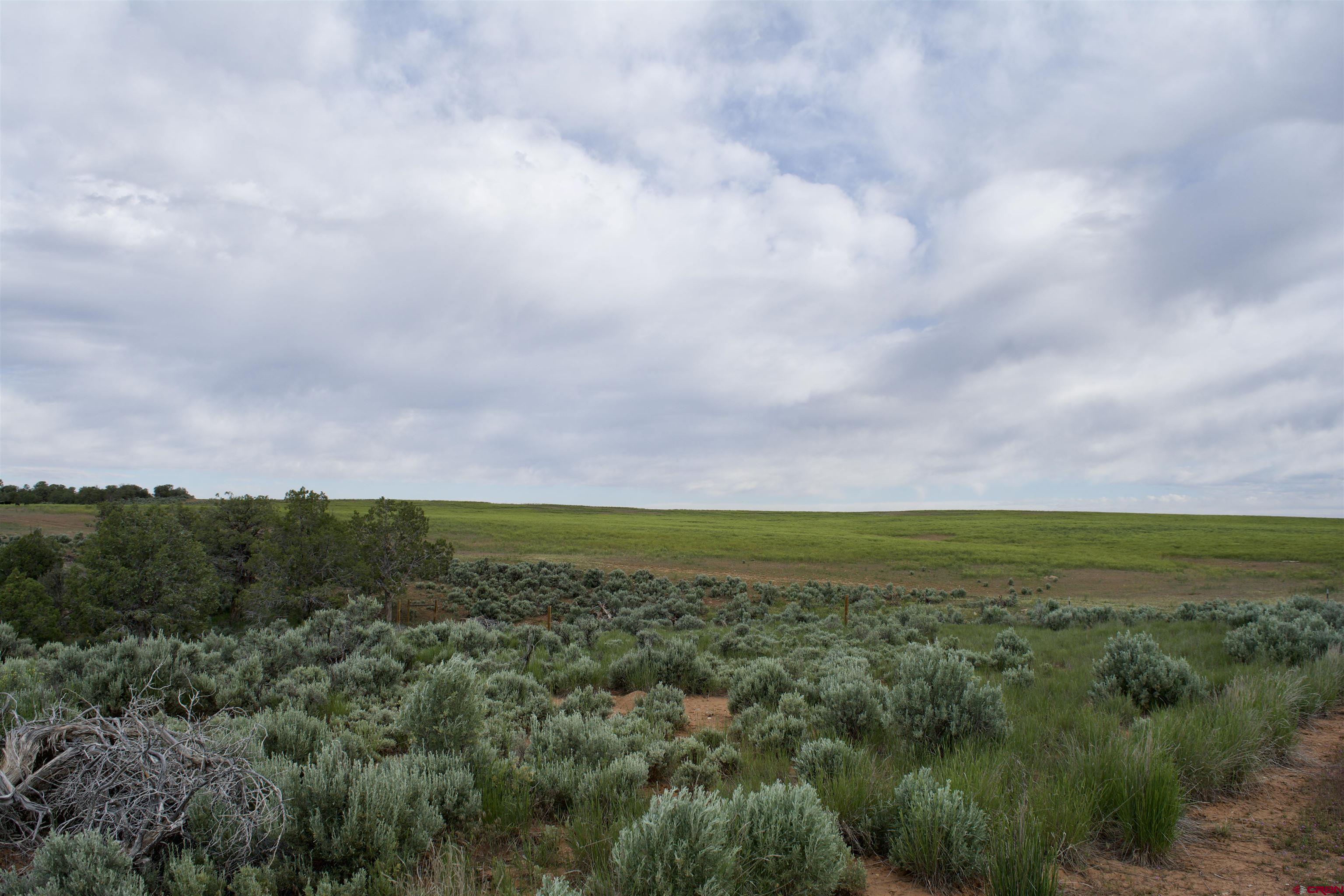 Lot 2 Road 24.3 Cortez, CO 81321 - Photo 8 of 16 a view of an ocean and beach