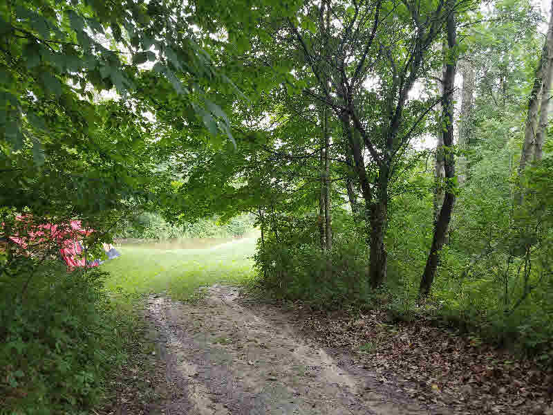 0 North Main Street Omer, MI 48749 - Photo 5 of 8