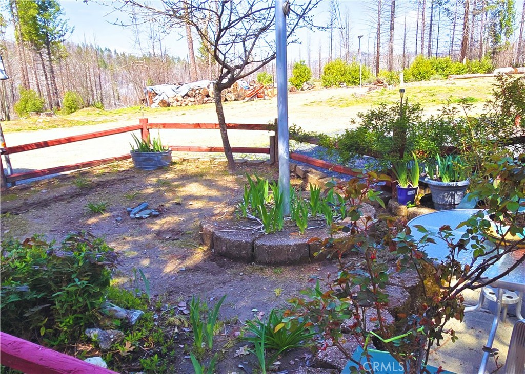 1171 Bald Rock Road Berry Creek, CA 95916 - Photo 16 of 20 a view of a yard with a tree