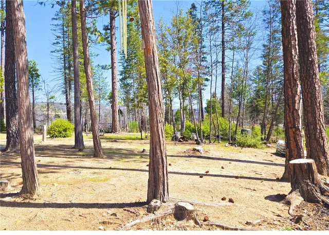 a view of outdoor space with trees