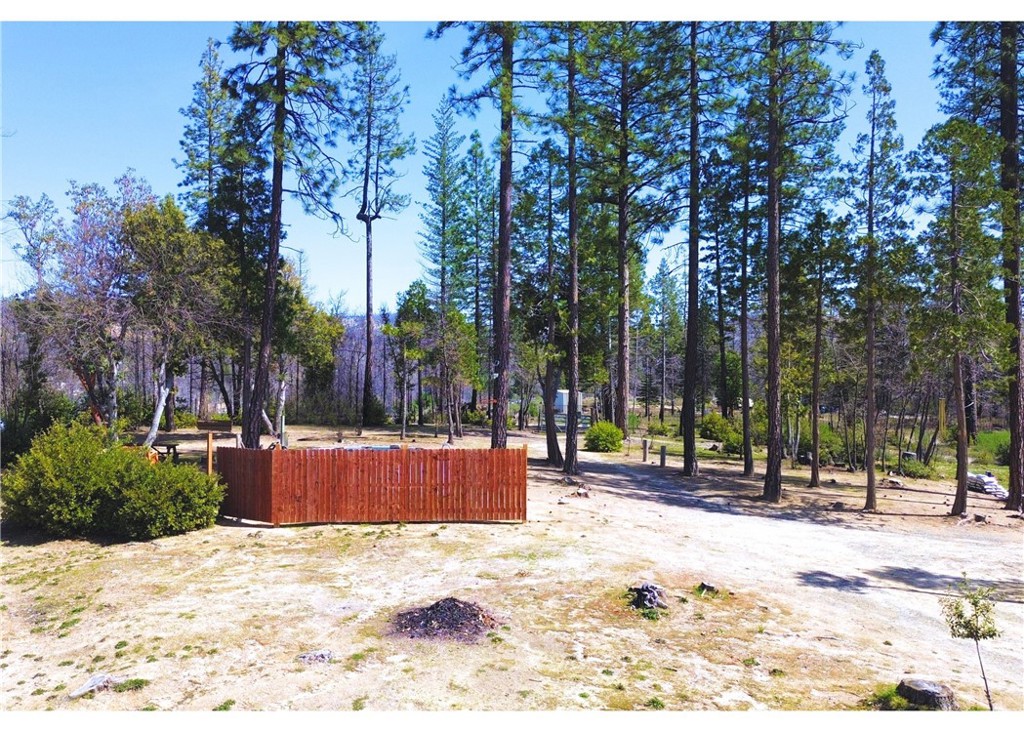 1171 Bald Rock Road Berry Creek, CA 95916 - Photo 18 of 20 a view of outdoor space with trees