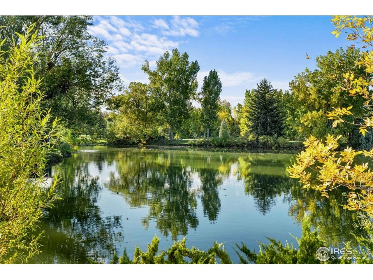 1513 Independence Road Fort Collins, CO 80526 - Photo 48 of 50 Enjoy West-side living at its best!