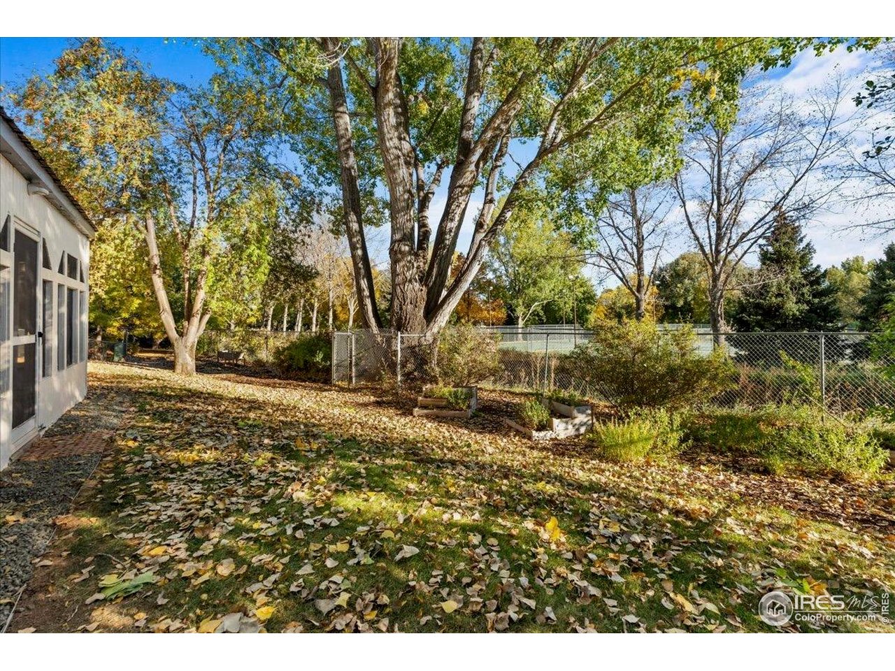 1513 Independence Road Fort Collins, CO 80526 - Photo 6 of 50 Backing to Rolland Moore Park - now an extension of your backyard