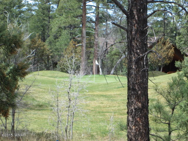 380 South Falling Leaf Road Show Low, AZ 85901 - Photo 23 of 32 Gallery Image 23