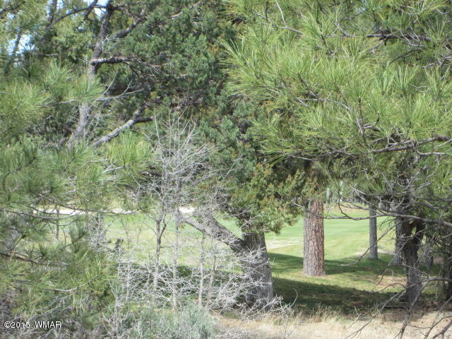 380 South Falling Leaf Road Show Low, AZ 85901 - Photo 24 of 32 Gallery Image 24