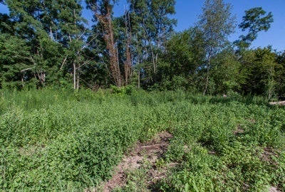 7 Acres On Park Road Iowa City, IA 52246 - Photo 20 of 30 Gallery Image 20