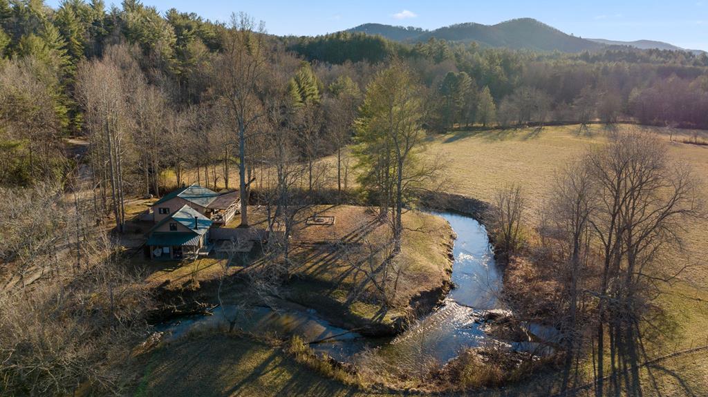 251 Sunny Brook Road Blue Ridge, GA 30513 - Photo 1 of 68 Main View
