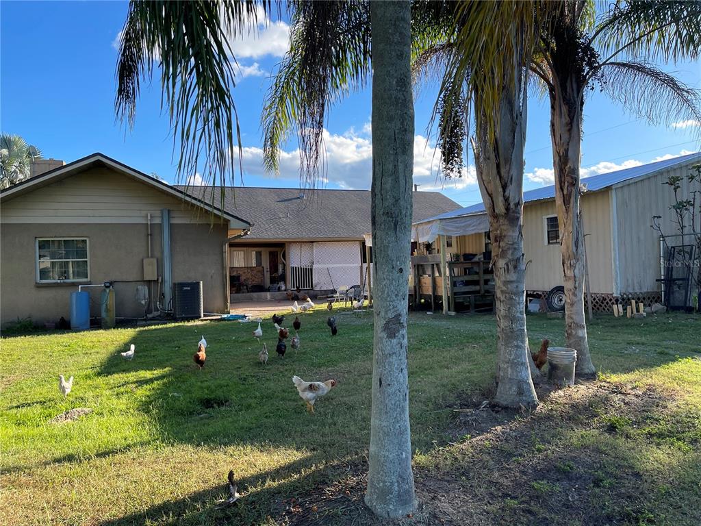 5006 West Sam Allen Road Plant City, FL 33565 - Photo 10 of 14 Back of the house