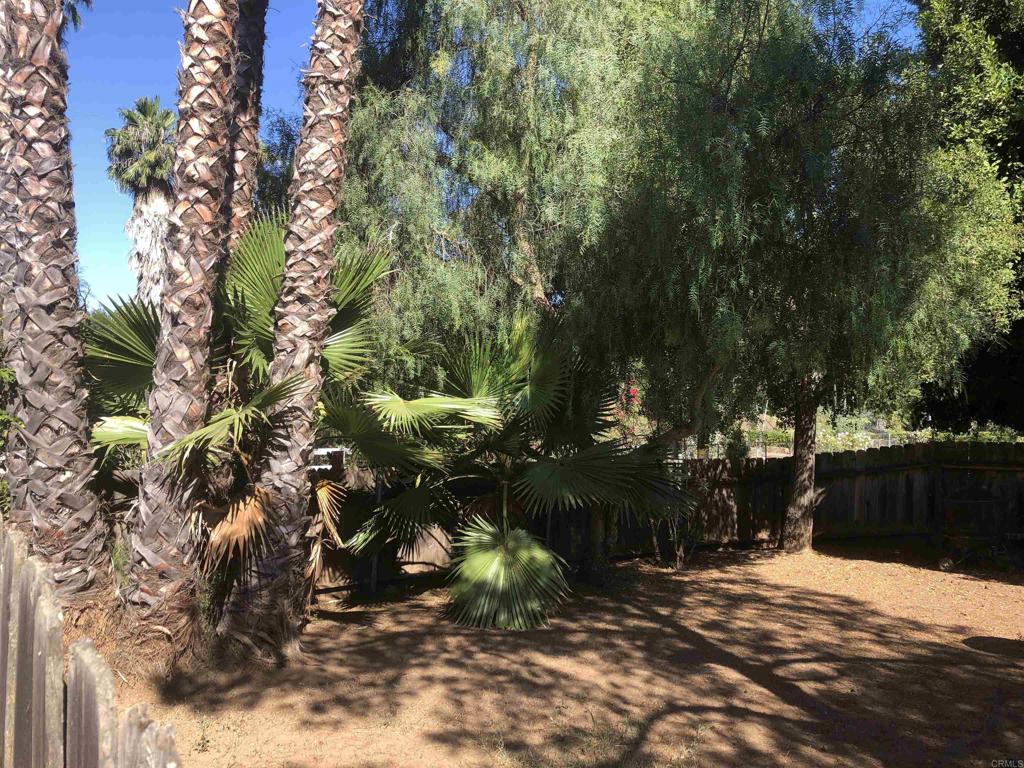 2005-07 Camino Rainbow Fallbrook, CA 92028 - Photo 5 of 65 a backyard of a house with lots of green space