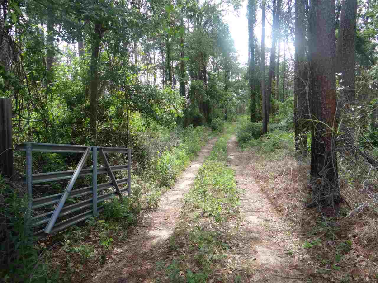 39800 Mary Grice Road Bay Minette, AL 36507 - Photo 4 of 6