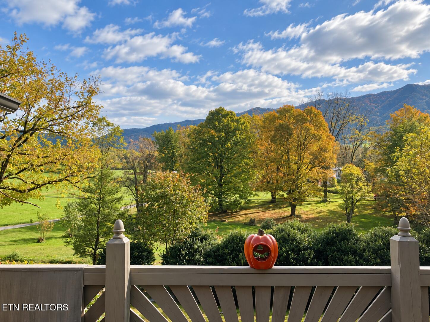 733 Cavern Road Townsend, TN 37882 - Photo 22 of 55 Codex Image Sep 11, 2026, 05_23_49 PM