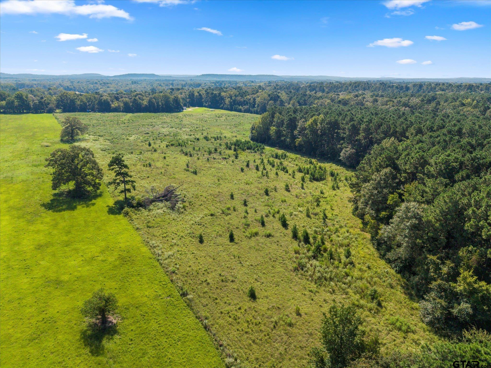 1663 County Road 4510 Pittsburg, TX 75686 - Photo 29 of 34 a view of a lake with a yard