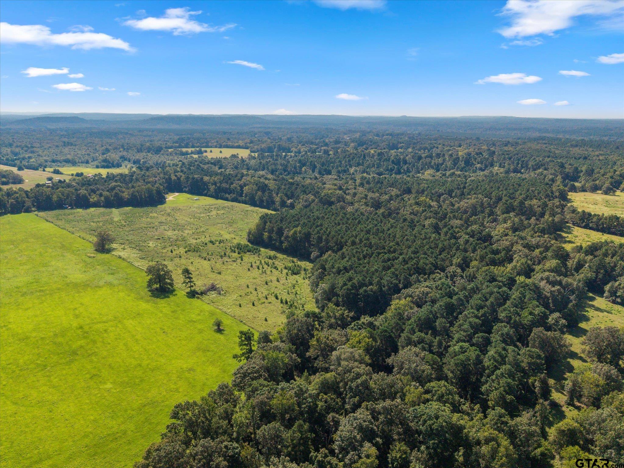 1663 County Road 4510 Pittsburg, TX 75686 - Photo 30 of 34 a view of a city with an ocean