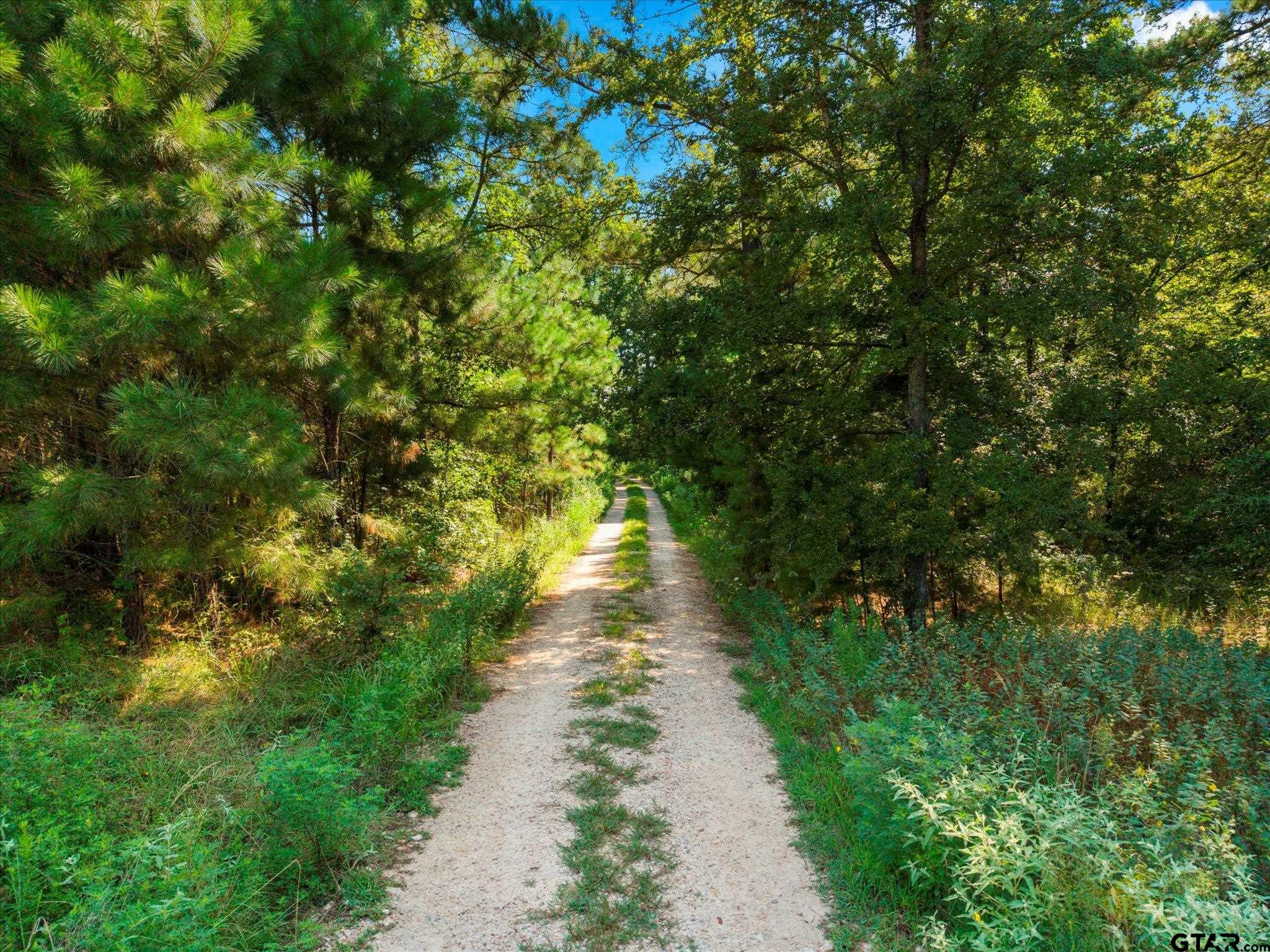 1663 County Road 4510 Pittsburg, TX 75686 - Photo 3 of 34 a view of a pathway both side of yard