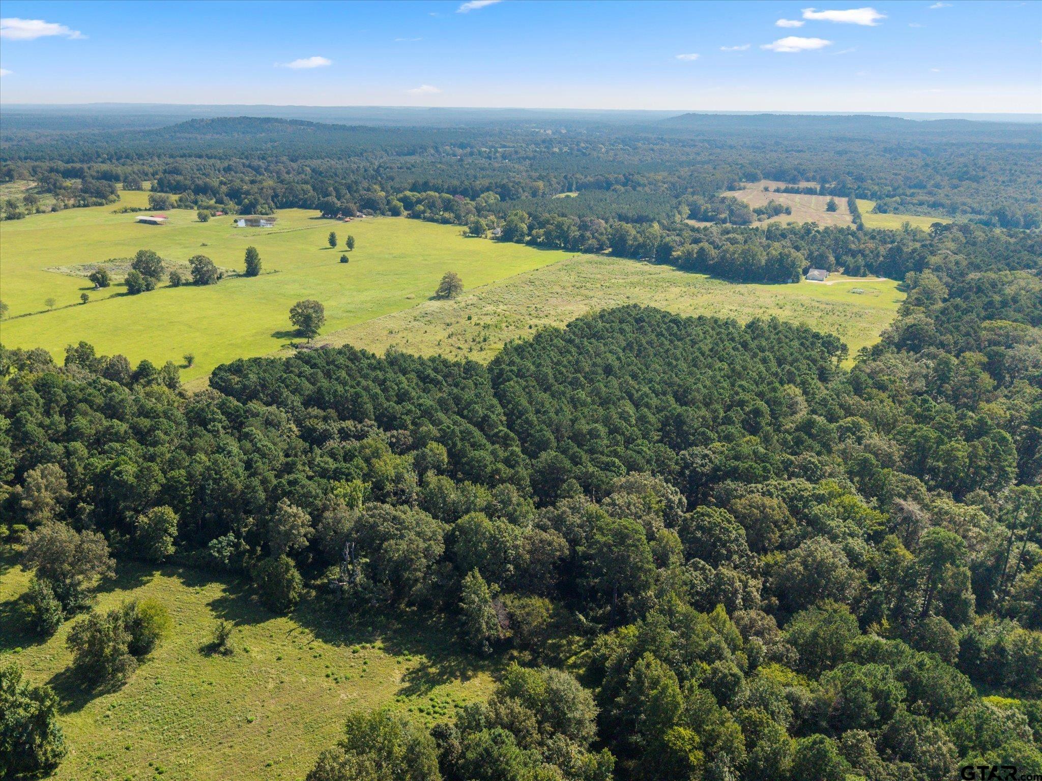 1663 County Road 4510 Pittsburg, TX 75686 - Photo 31 of 34 a view of a city