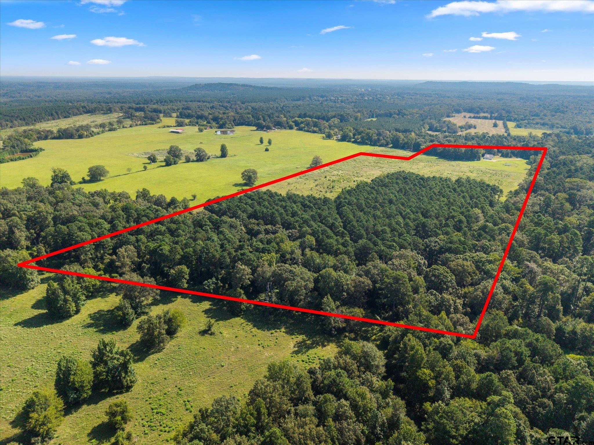 1663 County Road 4510 Pittsburg, TX 75686 - Photo 32 of 34 an aerial view of a houses with swimming pool