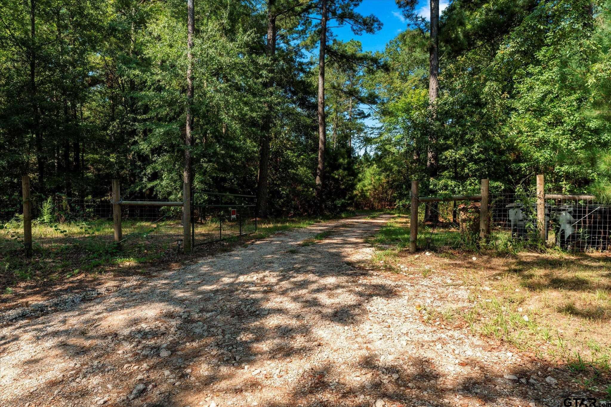 1663 County Road 4510 Pittsburg, TX 75686 - Photo 5 of 34 a view of a tree in the middle of a yard