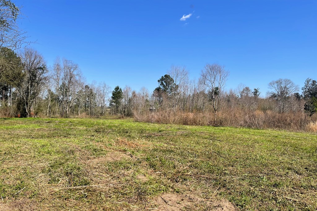 0 Lonnie Road Slocomb, AL 36375 - Photo 4 of 7