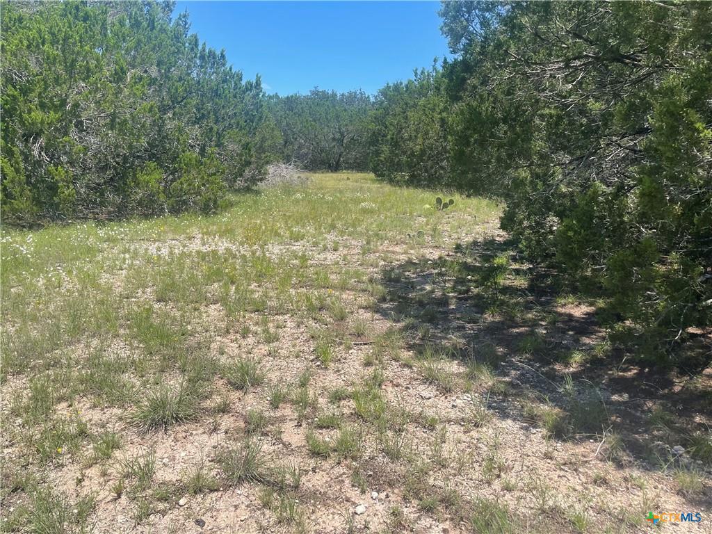 Lot 65 Estate View Circle Lampasas, TX 76550 - Photo 16 of 18 a view of a yard with a tree