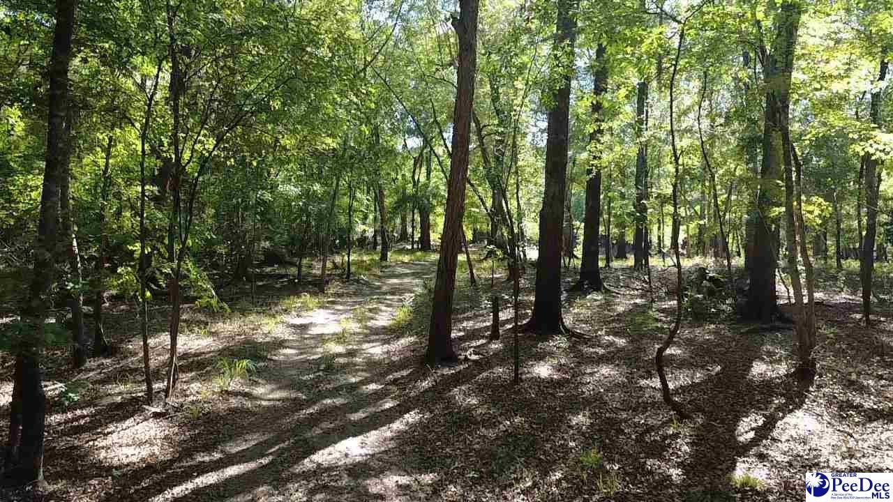 Tbd Tbd River Neck Road Florence, SC 29505 - Photo 36 of 47 Gallery Image 36