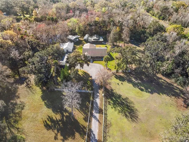 a view of a yard with trees